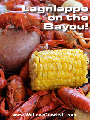 Lagniappe on the Bayou ... fresh boiled crawfish, potatoes and corn on the cob! The makings of a perfect meal in 2025!